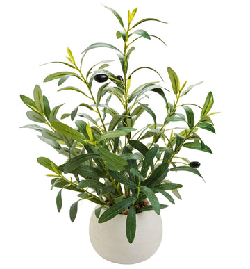 17" Artificial Olive Plant White Ceramic Planter Indoor Decor
