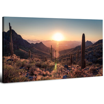 Mountain Wall Art Sunset Cactus Wall Decor Arizona Sonoran Desert Canvas Pictures Saguaro Landscape Photography
