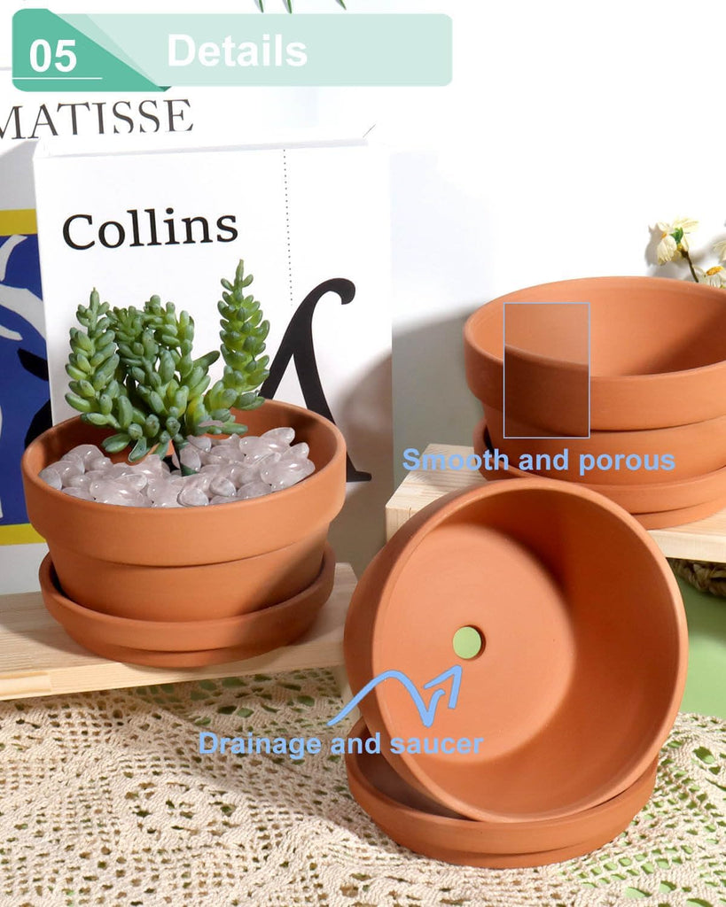 5.7 Inch Terracotta Shallow Succulent Pot - 6 Pack Terra Cotta Clay Pots with Saucer, Cacuts Terra-Cotta Indoor and