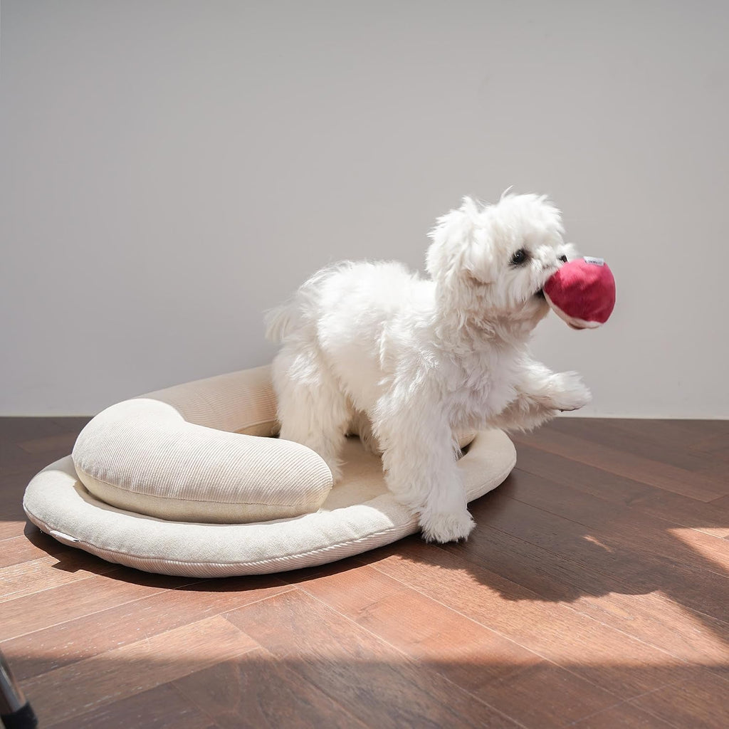 Nest Pillow Dog Bed Made in Korea (Large, Sandy Beige)