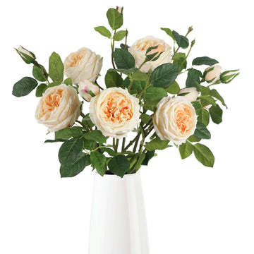 Real Touch Austin Roses Peonies Artificial 4 Bouquets Latex Fake Peonies with Long Stem Realistic Faux Peonies Flower