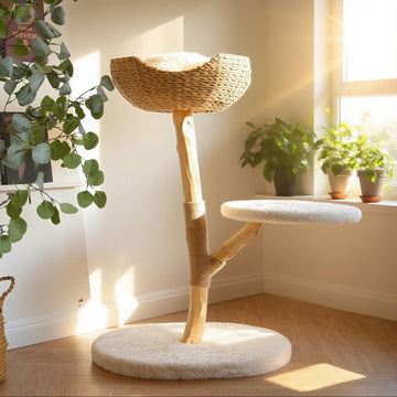 Modern Cat Tree, Natural Pear Wooden Cat Tower for Indoor Cats, Real Branch Luxury Cat Condo with Scratching Post &