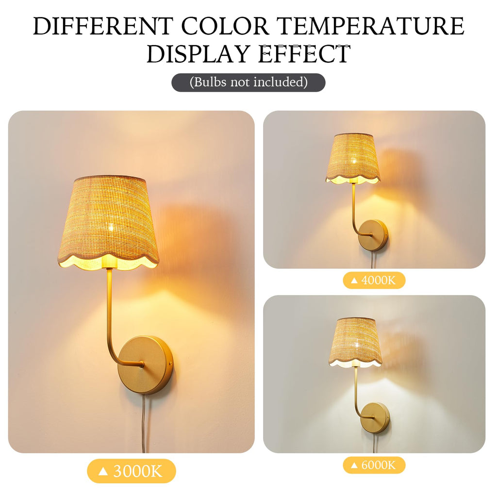 Boho Rattan Plug in Wall Sconces