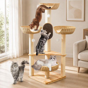 55-Inch Cat Tree for Large Indoor Cats with 4 Handwoven Basket Beds