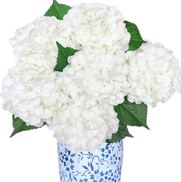 Premium White Hydrangea Artificial Flowers Bouquets, Ivory Silk Hydrangea Flowers Heads with Stems, Fake - Set of 6