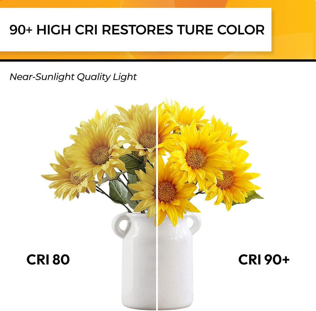 Candelabra Light Bulbs 60W Eq, 2700K Dimmable, E12 LED Bulb 12 PCS