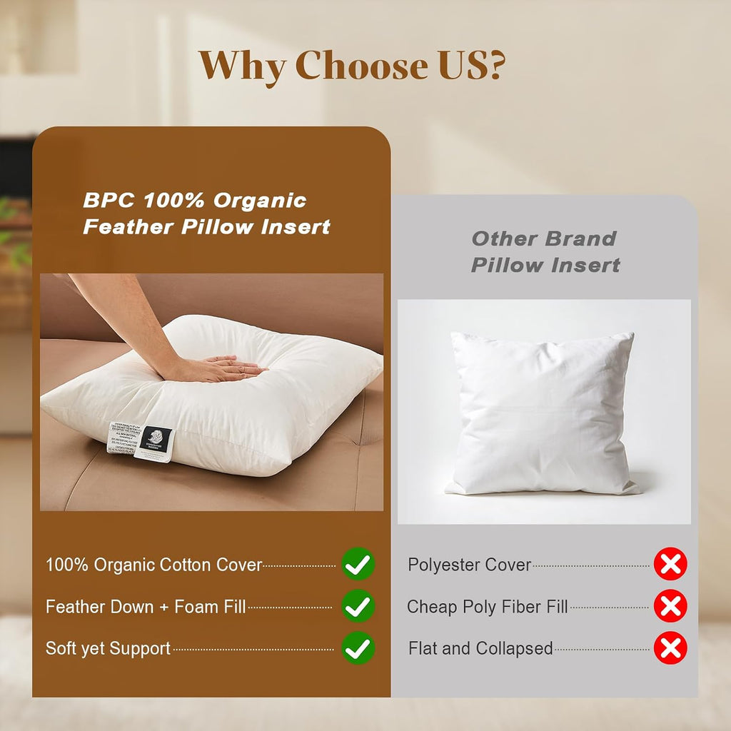 Down Feather Throw Pillow Inserts 22x22, 100% Organic Cotton Cover, Soft Fluffy & Support, Decorative - Set of 2