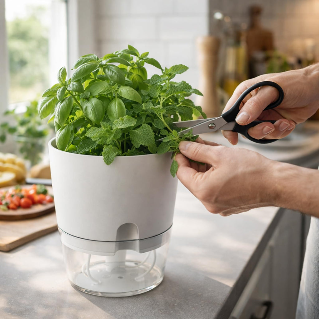 5 Pack Self Watering Pots for Indoor Plants, 9.2 Inch Plant Pot Plastic Self Watering Planter for Orchid, Monstera