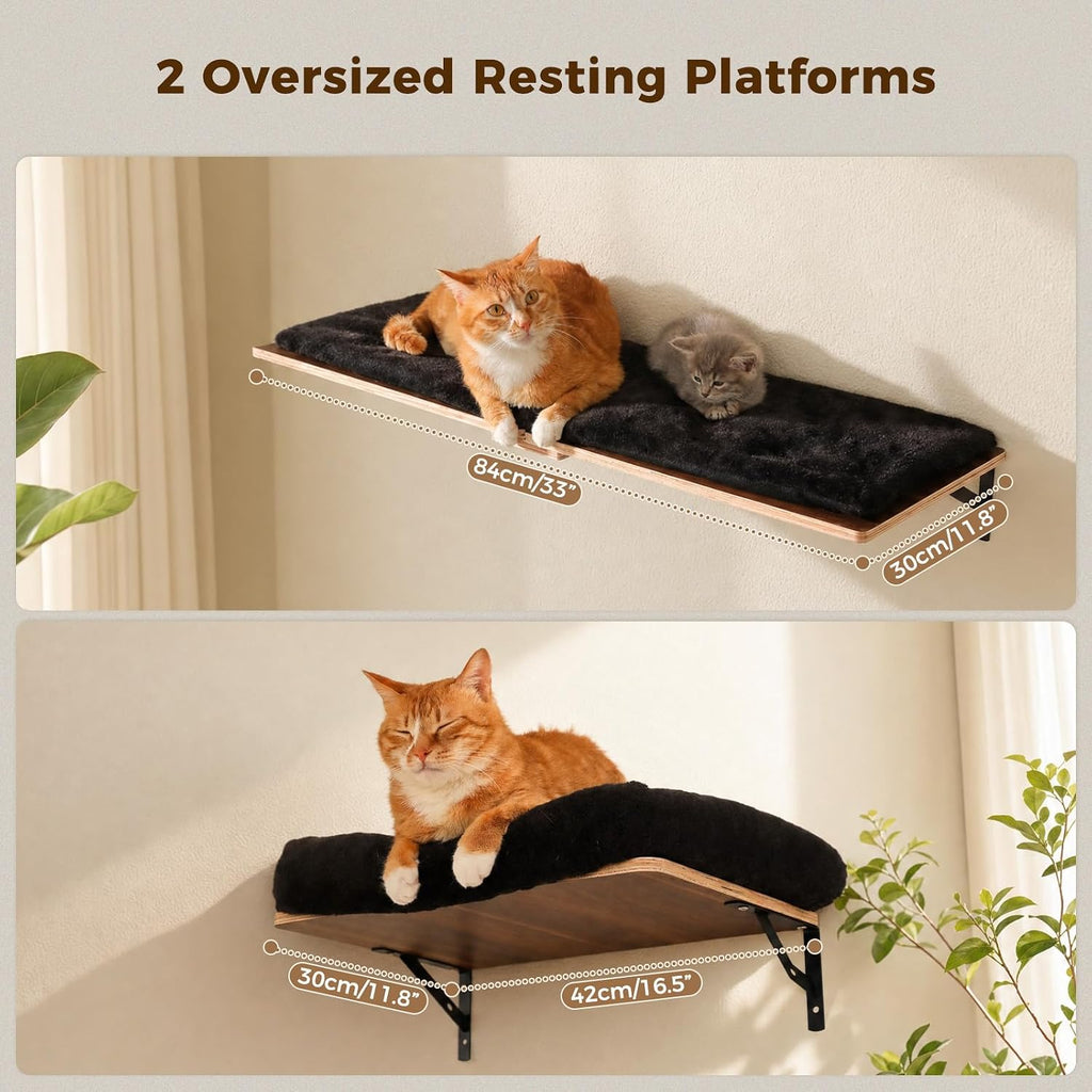 Cat Wall Shelves, Modern Cat Wall Furniture with Sisal Posts