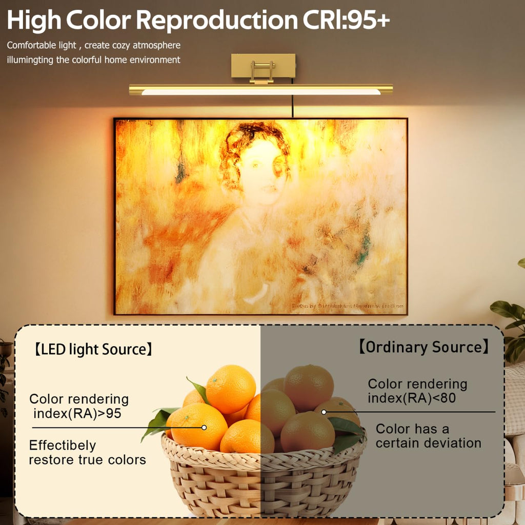 Plug in Picture Light for Wall Mural Art Light with On/Off Switch, 3000K Warm White Brightness Adjustable Gallery