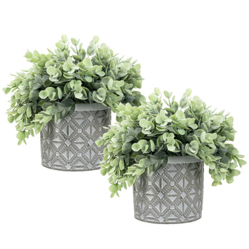 Artificial Eucalyptus Plants in Gray Concrete Pots, Set of 2