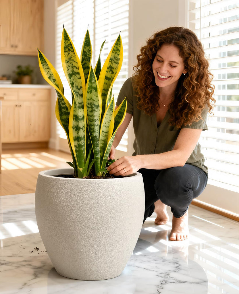 14.5 Inch Large Plastic Flower Pot with Drainage for Plants