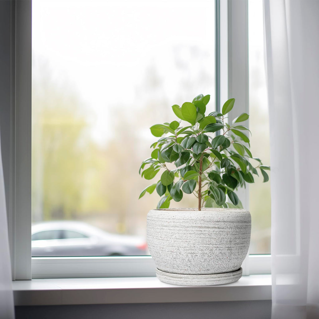 Ceramic Plant Pots - 8 inch Planter for Indoor Plants, Round Flower Pot with Drainage Hole and Plant Saucer, Modern
