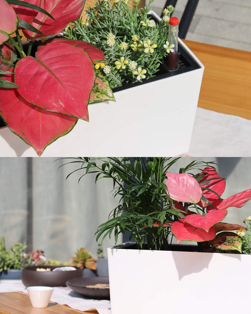 14" Self Watering Planter Pots with Water Level Indicator, Rectangle Matte Plastic Window Box for Indoor Outdoor