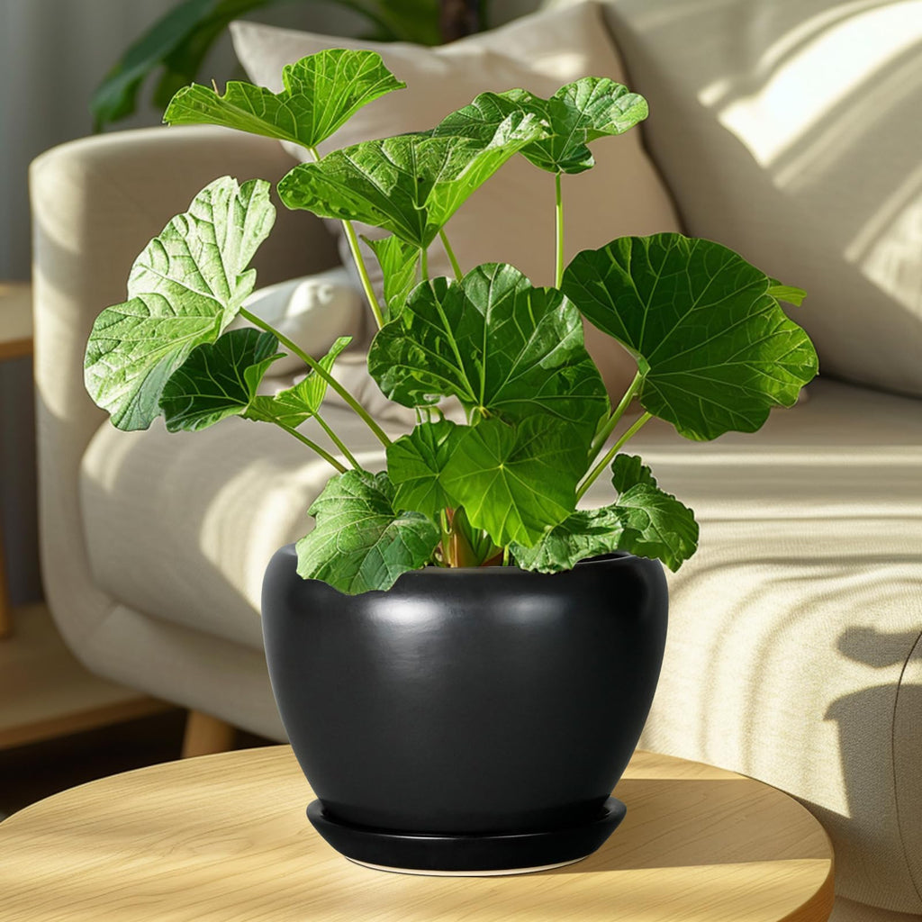 Ceramic Planter Pot - 8 Inch Plant Pot with Drainage Hole and Saucer Round Planter for Indoor Plants Modern Outdoor