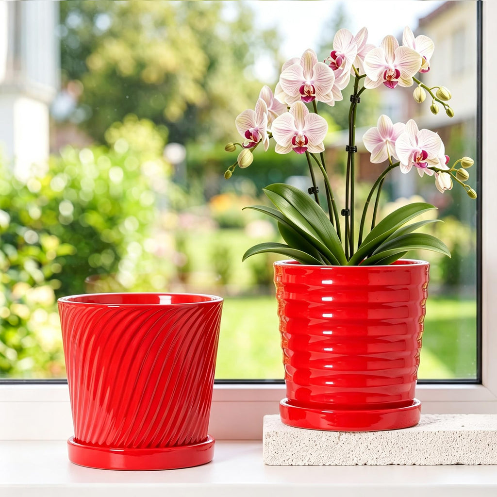 6 Inch Flower Pots for Plants, Ceramic Planter with Drainage and Saucer