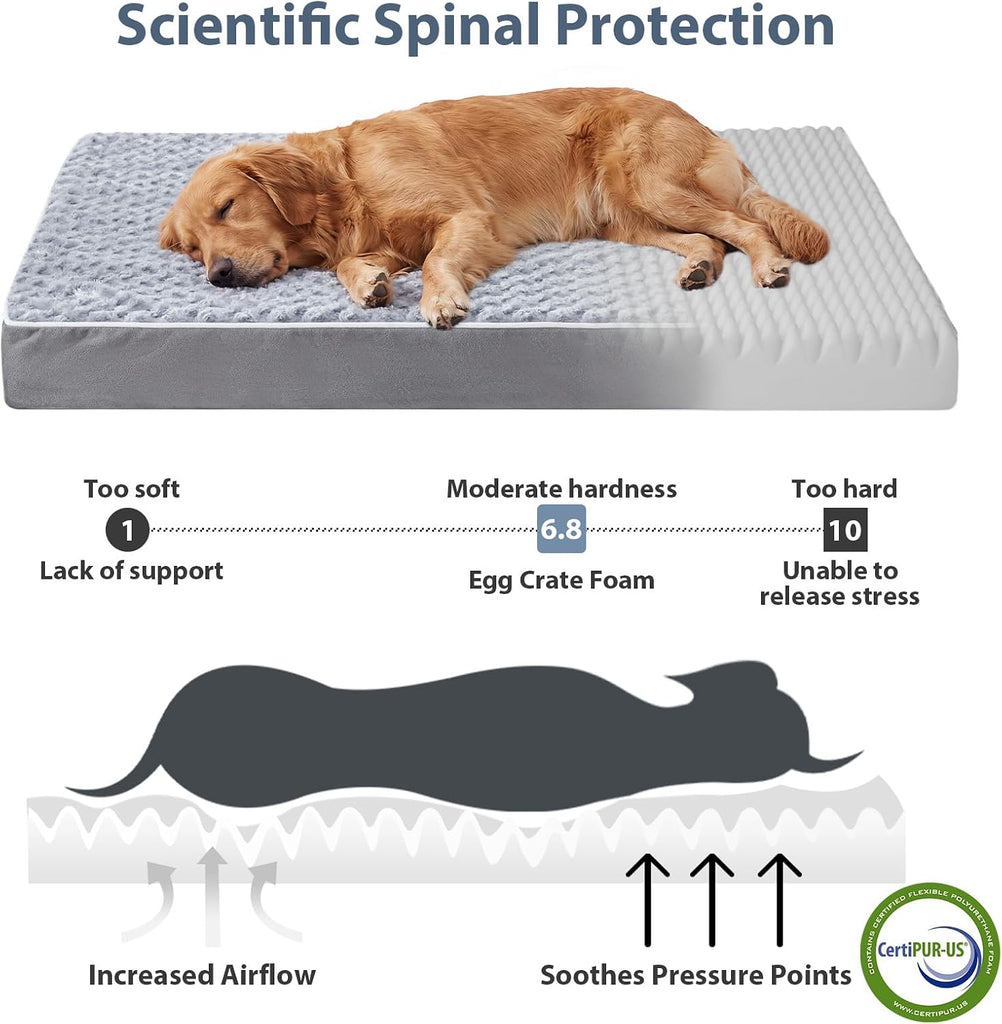 Orthopedic Washable XL Extra Large Dog Beds for Senior Dogs, Grey