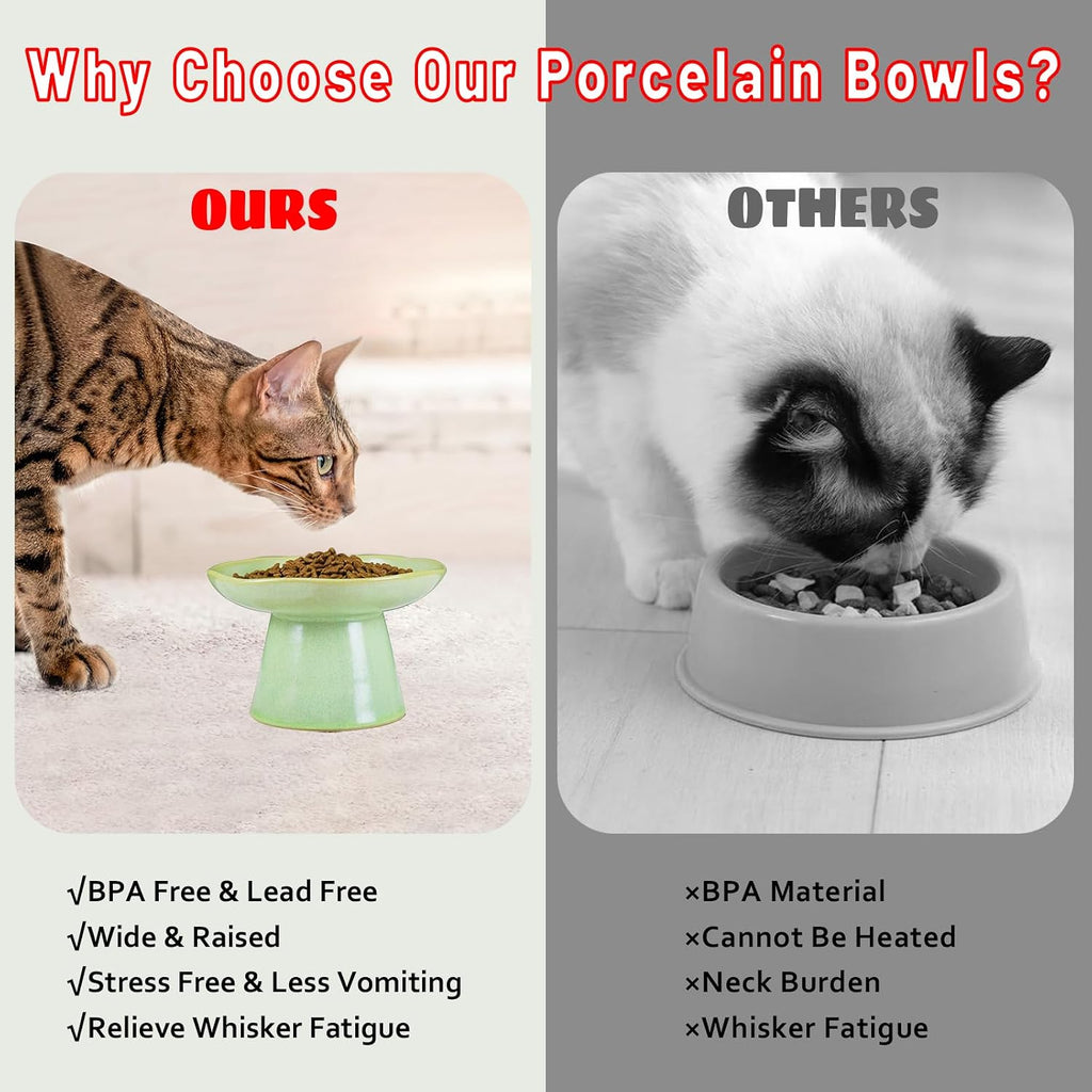Wide Shallow 6.1" Raised Cat Bowls, Ceramic Elevated Food Bowl for Flat Faced Cats and Small Dogs, Porcelain Feeder