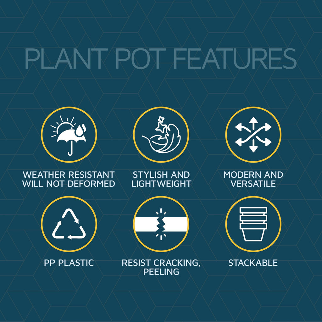 Terracotta 6-Inch Plant Pots with Drainage & Saucers 24 Pack, Indoor & Outdoor Planters plants, Herbs, and Flowers
