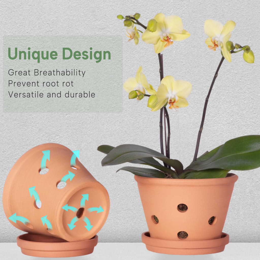 8 inch Terracotta Orchid Pots with Holes and Saucers, 2 Pack Clay Orchid Planter Pots for Repotting, Large Terra