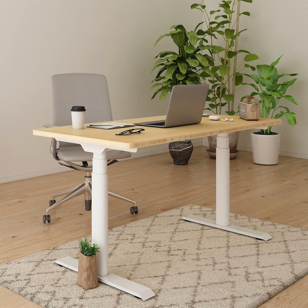 E6 Pro Large 72" x 30" Organic Modern Bamboo Standing Desk, Electric Dual Motor 3-Stage Height Adjustable Desk with