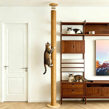 Floor to Ceiling Cat Scratching Post Tree, Adjustable Height 40in-120in Tall PVC Cat Climbing Pole, Sturdy Cat