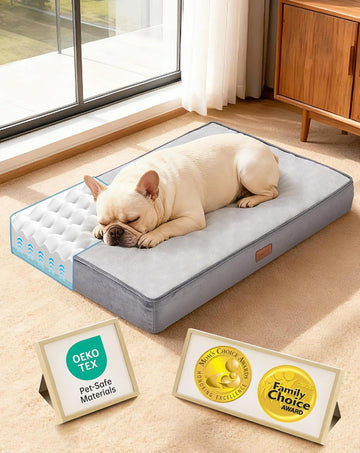 Orthopedic Medium Dog Bed, Reversible Memory Foam, -M(Gray)