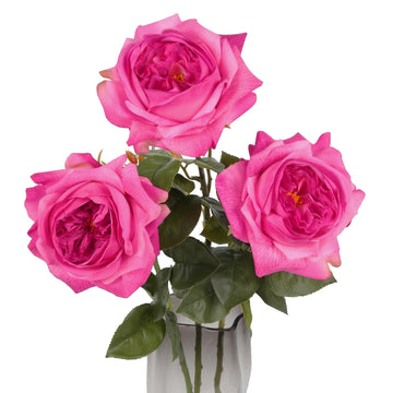 3PCS Hot Pink Real Touch Rose 5.1'' Large Roses 23.62'' Artificial Austin Roses with Stems for Tall Vases Faux Roses