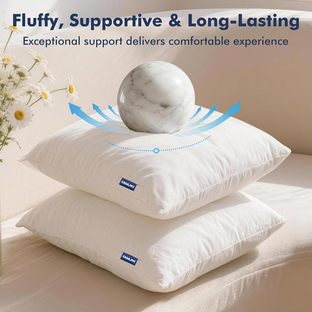18x18 Pillow Inserts, Down Alternative Throw Pillows - Set of 2