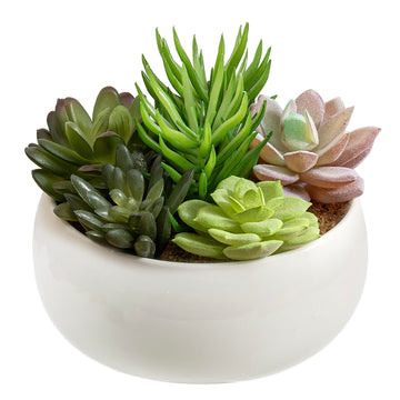 6 Inch Round Modern Artificial Succulent Arrangement Potted in White Ceramic Plant Bowl, Assorted Faux Mini