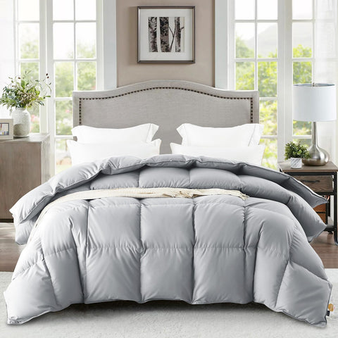Queen Down Comforter, Luxurious All-Season Duvet Insert with noiseless Skin-Friendly Tencel Blend Co