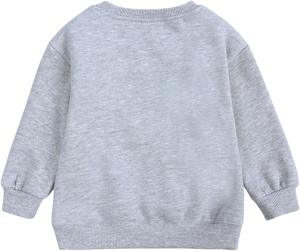 Toddler Sweatshirt Baby Boys Girls Crew Neck Long Sleeve Fall Shirts