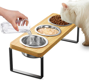 Elevated Cat Bowls with 3 Stainless Steel Bowls | 10° Tilted Anti-Vomiting Raised Cat Food Bowl for Small Cats