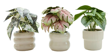 3 Pack Mini Fake Plants in Ceramic Pots Desk Decor