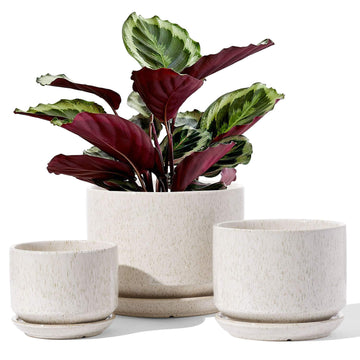 Ceramic Pots for Plants, 4.3+5.3+6.8 Inch, Set of 3, Glazed Beige
