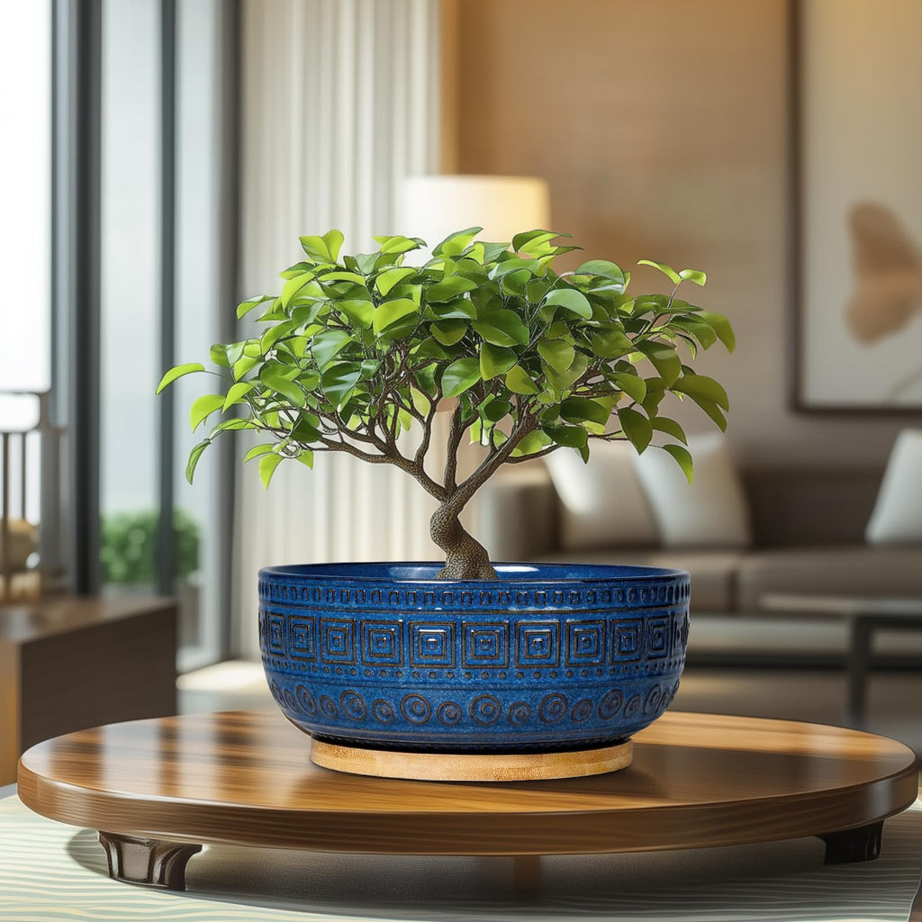 Bonsai Pots 8 Inch - Ceramic Succulent Pots, Round Planter for Indoor Plants, Modern Outdoor Planter with Drainage