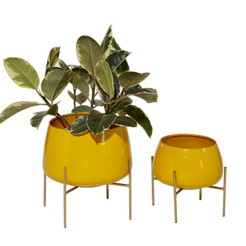 Metal Planter, Set of 2 Planter 8", 10" H, Yellow