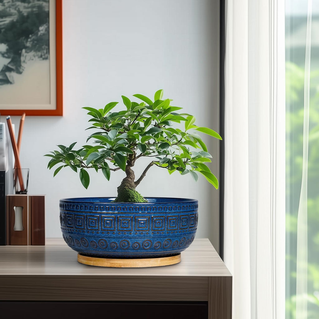 Bonsai Pots 8 Inch - Ceramic Succulent Pots, Round Planter for Indoor Plants, Modern Outdoor Planter with Drainage