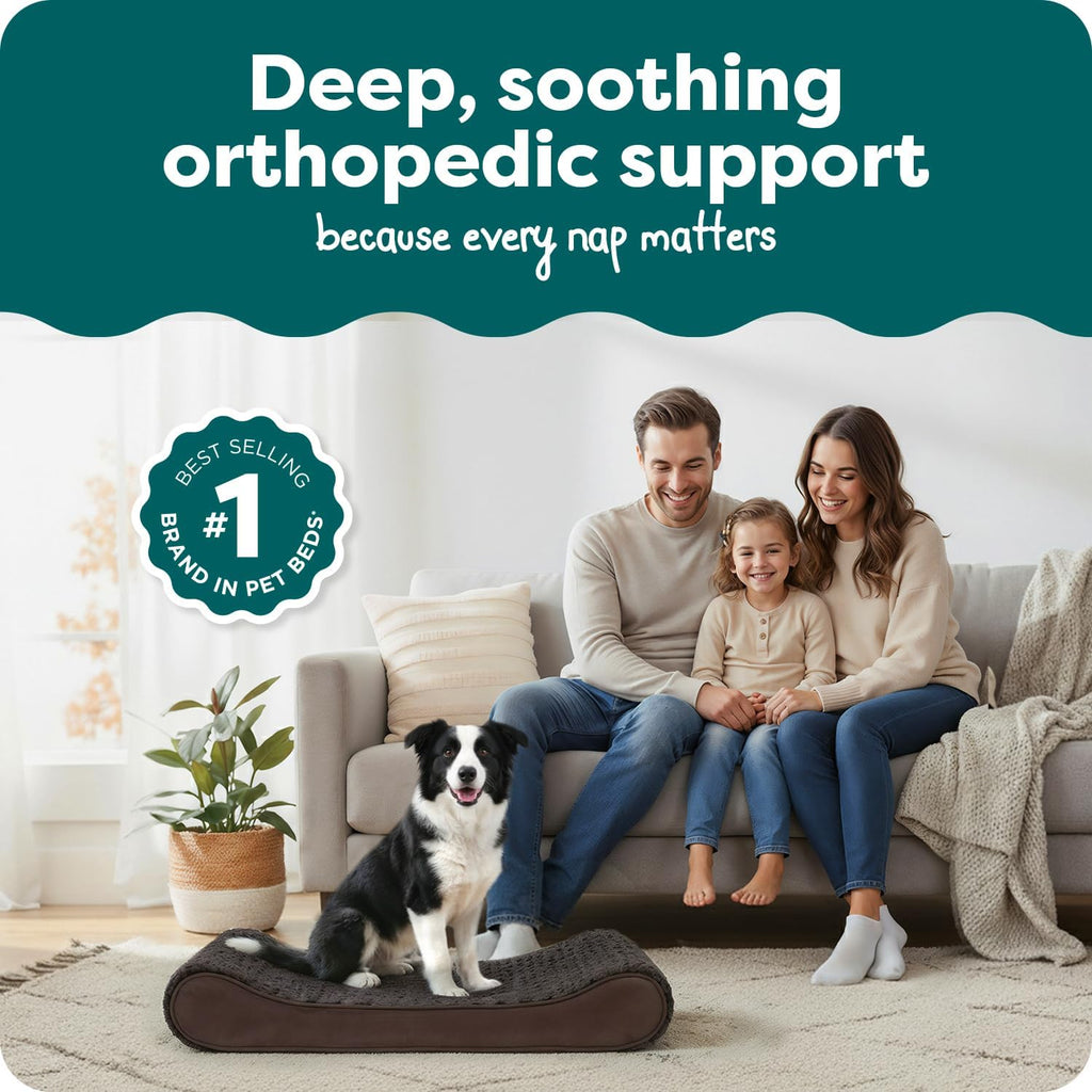 Orthopedic Dog Bed for Dogs w/ Removable Washable Cover, For Dogs Up to 38 lbs - Ultra Plush Faux Fur &