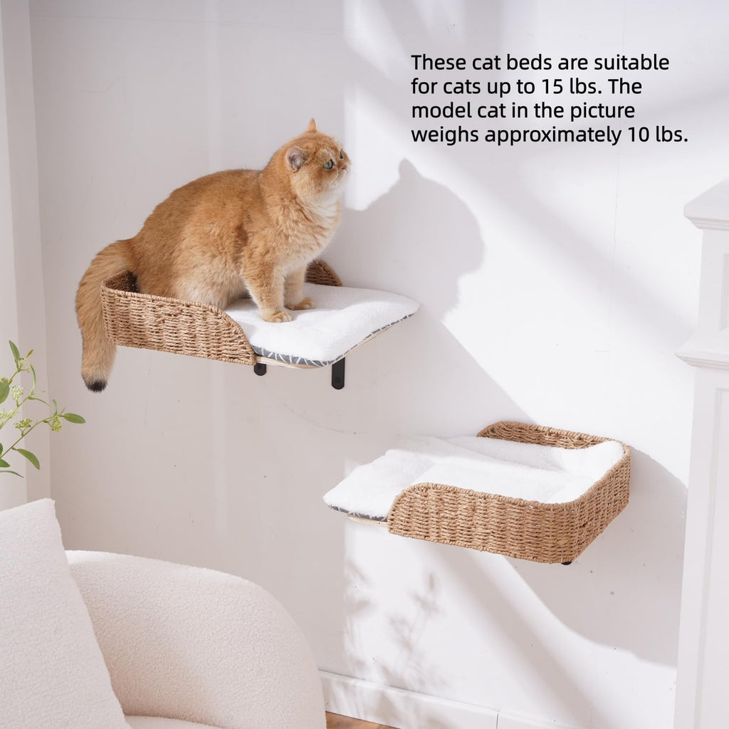 2-Pack Wall Mounted Cat Bed Perch