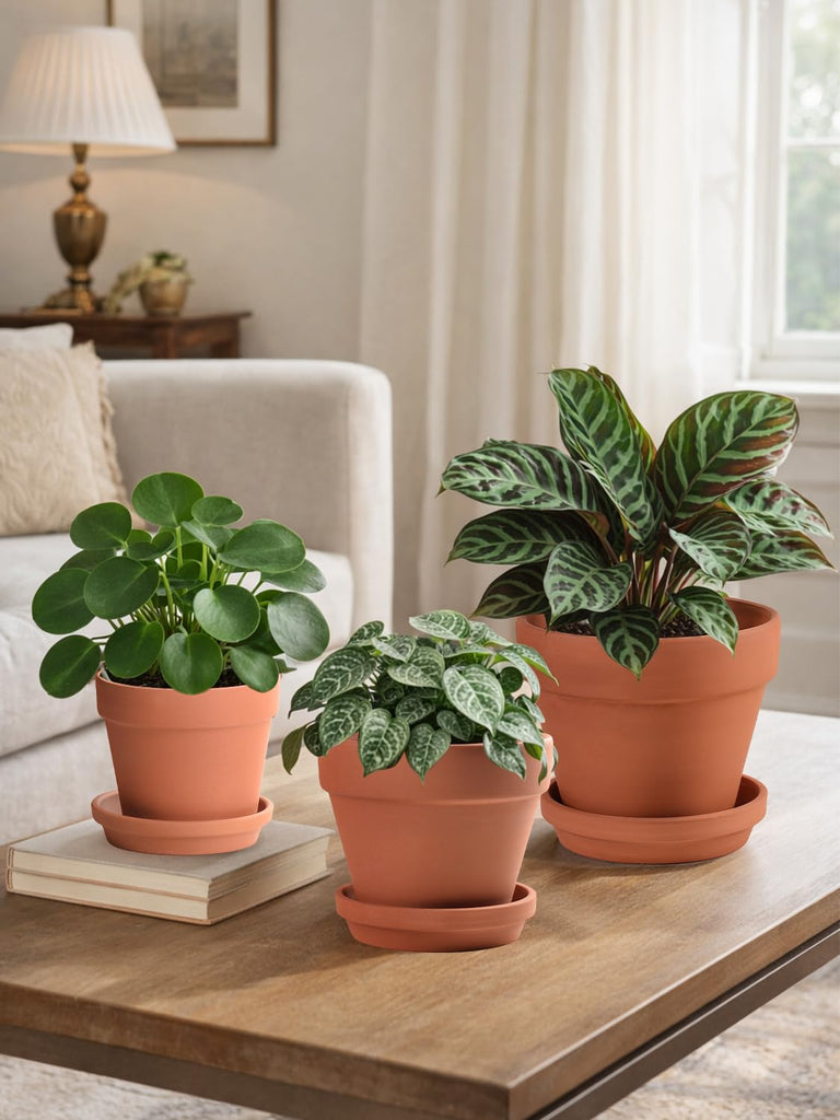 Terracotta Pots Set with Saucer - 5/6/7 inch Ceramic Clay Planters with Drainage Hole, Garden Flower Succulent Pots