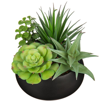 Fake Plants Artificial Succulents in Pots Faux Succulent Arrangement Potted Plant with Black Ceramic Pot Decor Modern