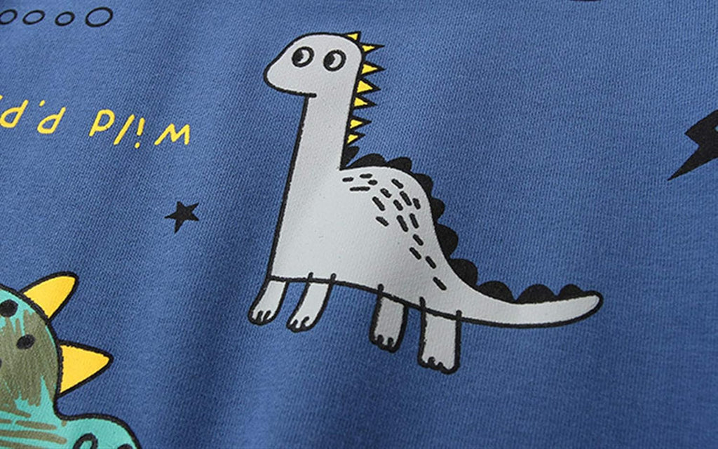 Toddler Baby Boy Clothing Sets Little Dinosaur Printed Long Sleeve Tops and Pants Kids 2pcs Outfits