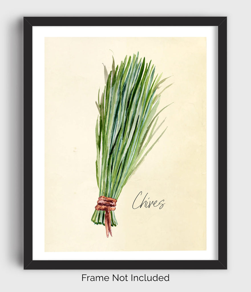 Kitchen Herbs Wall Art Prints - Set of 6-8x10 UNFRAMED Botanical Watercolor Illustrations of Basil, Parsley, Chives
