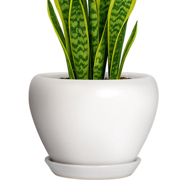 8 Inch Plant Pot - Ceramic Planter with Drainage Hole and Trays, Modern Round Flower Pot, Planters for Indoor Outdoor