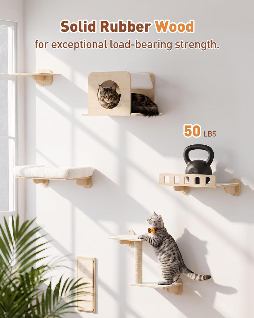 6-in-1 Cat Wall Shelves for Large Cats, Large Cat Bed, Wide Perch