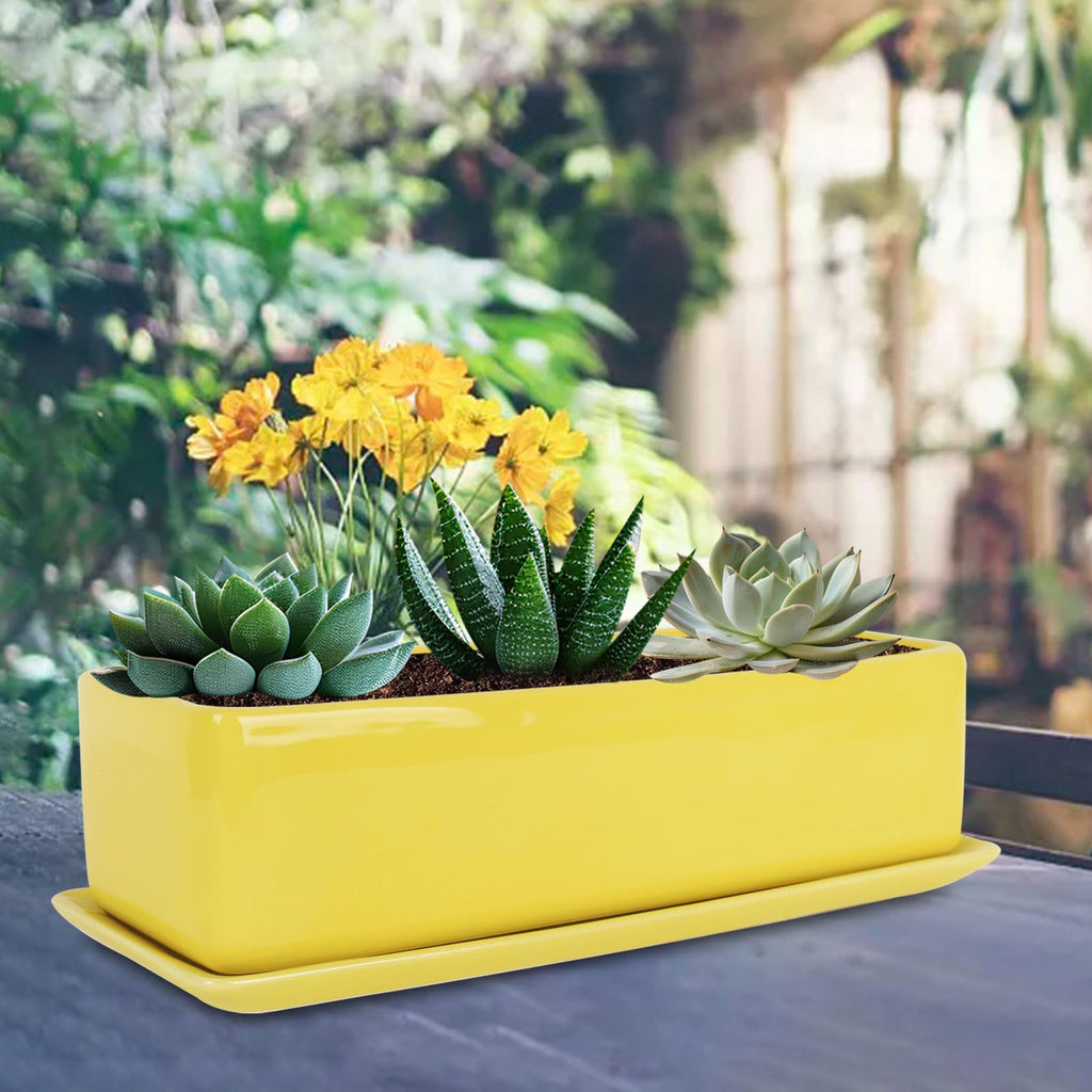 14 Inch Rectangular Modern Minimalist Ceramic Succulent Planter Pot - Window Box with Saucer, Office Desktop Potted