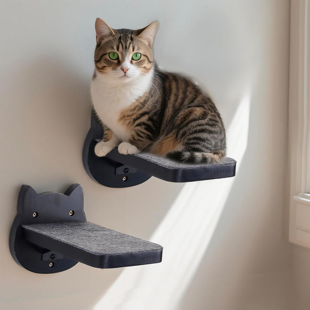 Black Painted Solid Wood Cat Wall Climbing Steps, Set of 3