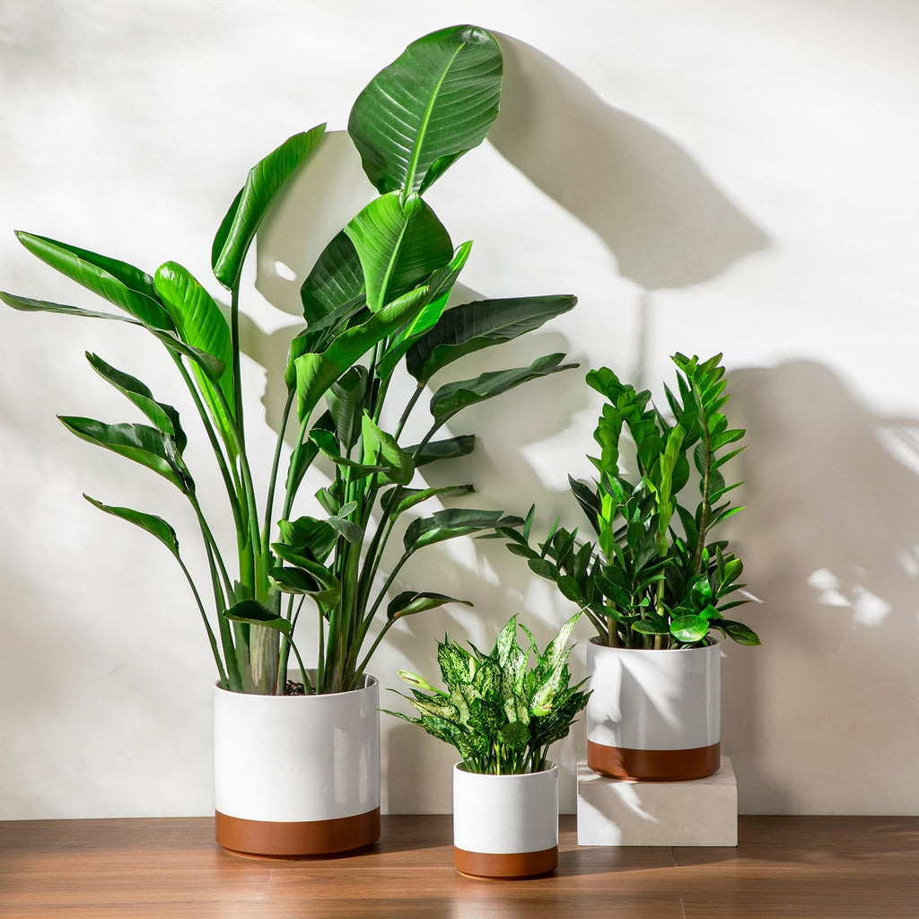 6"+8"+10" Ceramic Pot for Plants, Large Outdoor Indoor Planter Pots with Drainage Holes, Set of 3, Khaki