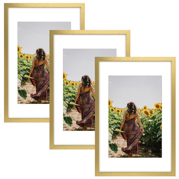 3 Pack 16x24 Gold Picture Frame with Real Glass Mat for 12x18
